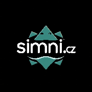 Primary Raster logo